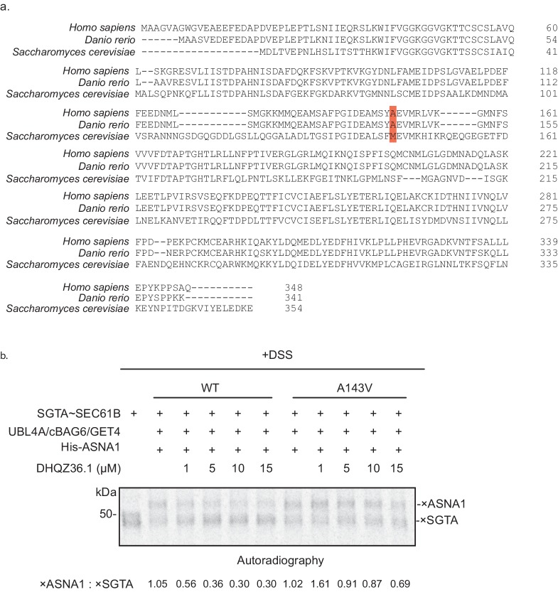 Figure 5—figure supplement 2.