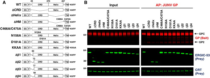 Figure 6