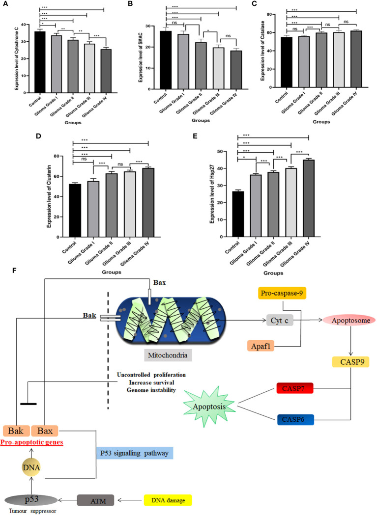 Figure 3