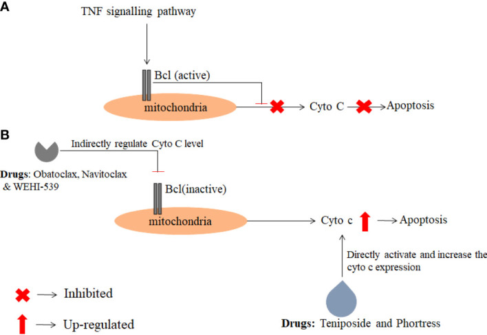 Figure 6