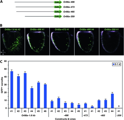 Figure 6.—