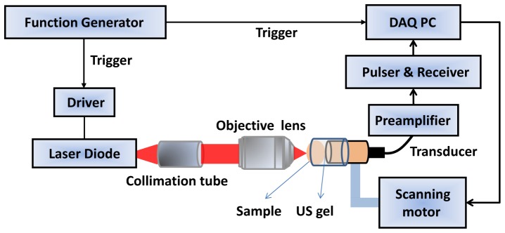 Fig. 1