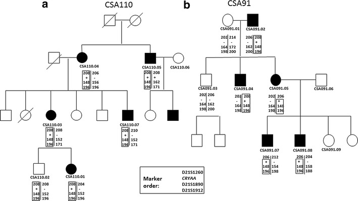 Fig. 4