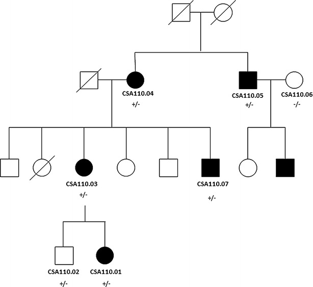 Fig. 1