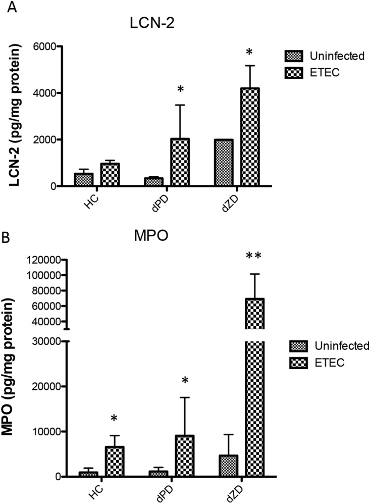 FIG 2