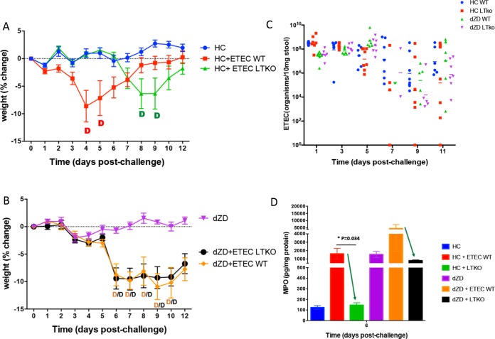 FIG 6