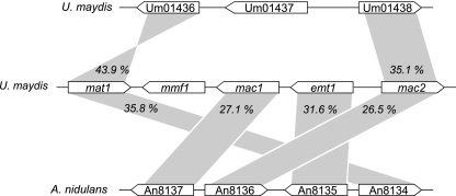 FIG. 6.