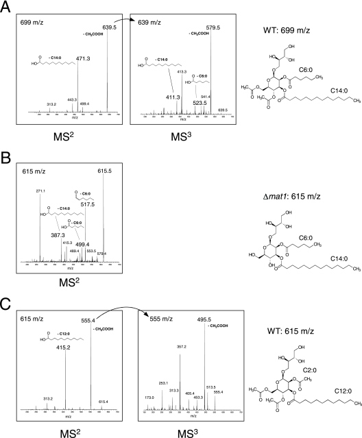 FIG. 4.