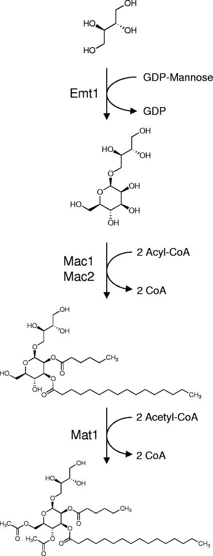 FIG. 7.