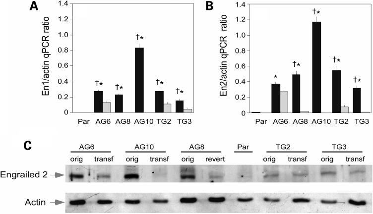 Figure 2.