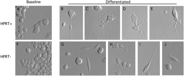 Figure 3.