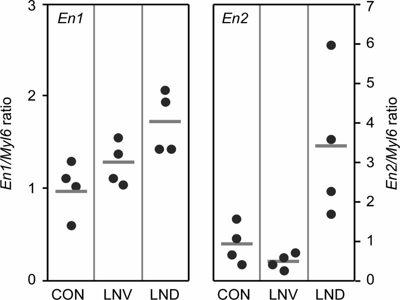 Figure 5.