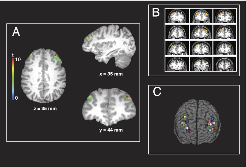 Fig. 3.