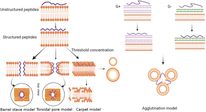 FIGURE 3