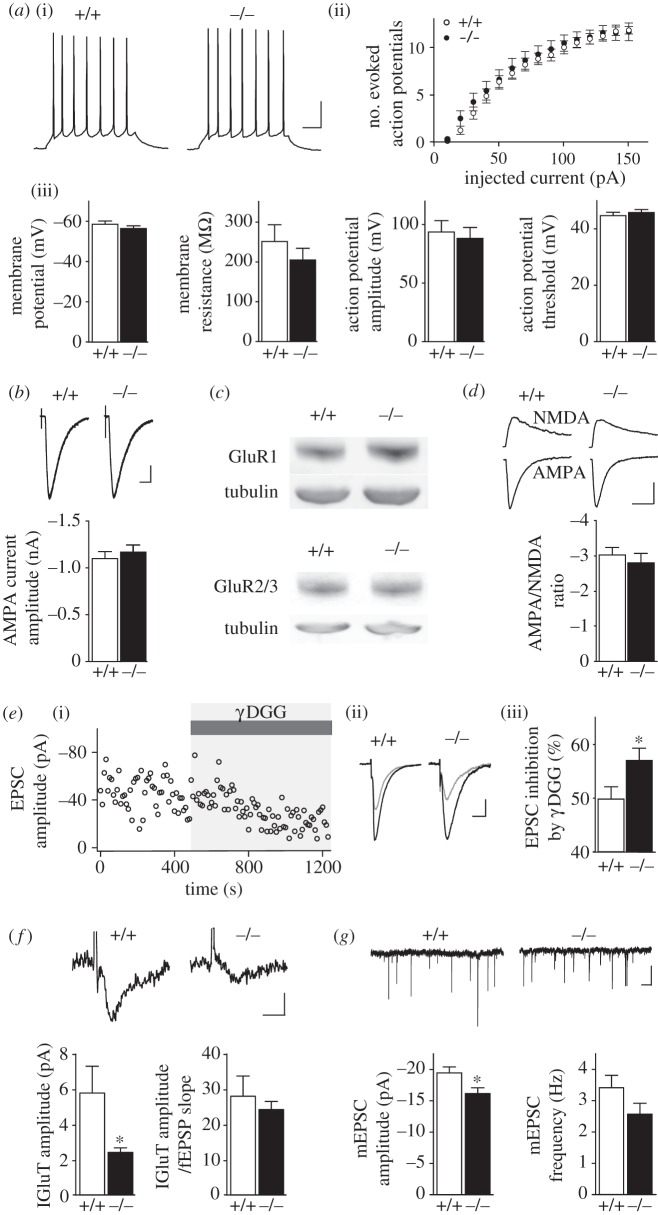 Figure 3.