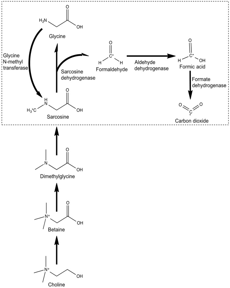 FIGURE 1.