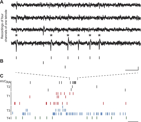 Fig. 3.