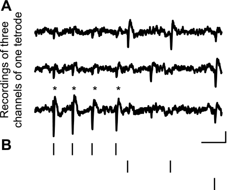 Fig. 4.