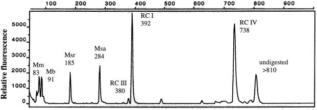 FIG. 5