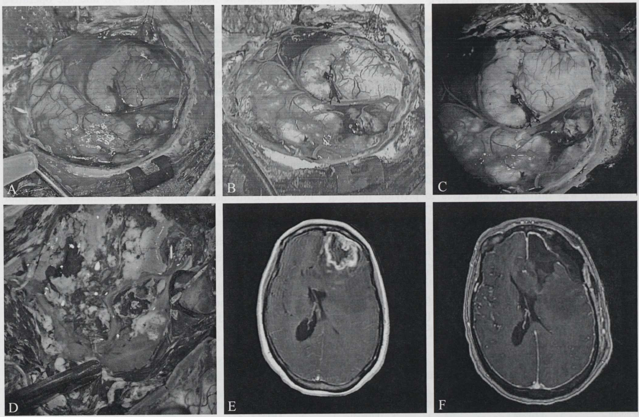 Figure 2.—