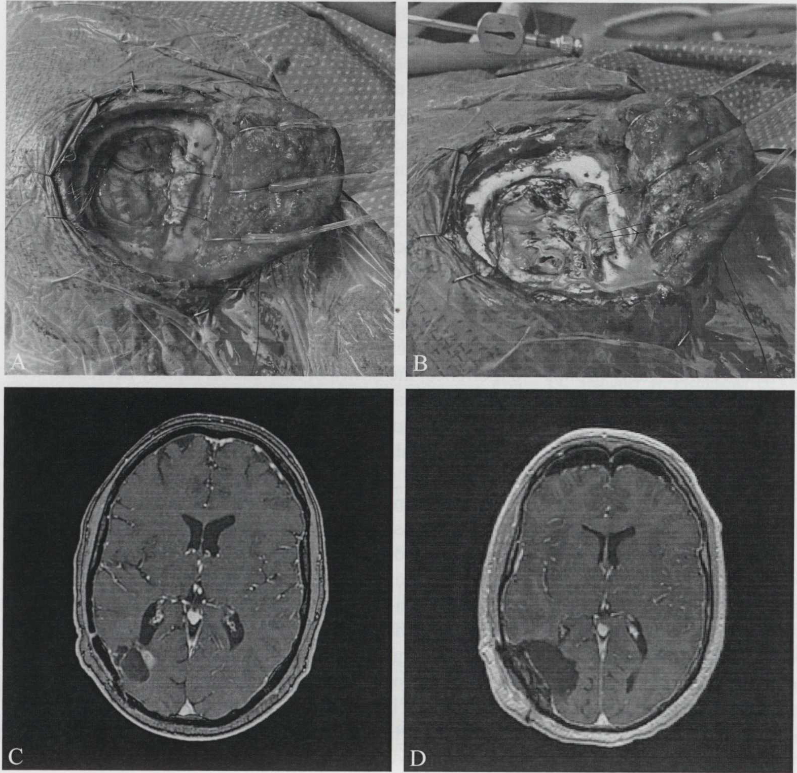 Figure 3.—