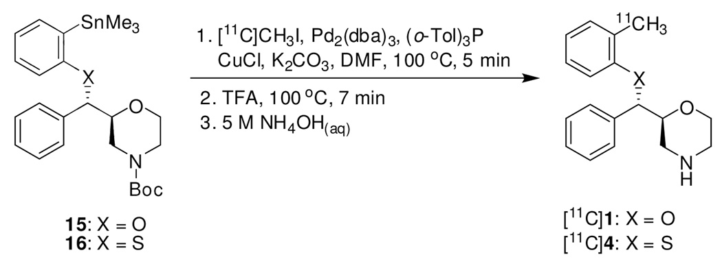 Scheme 4