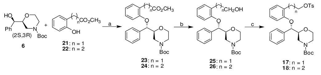 Scheme 3