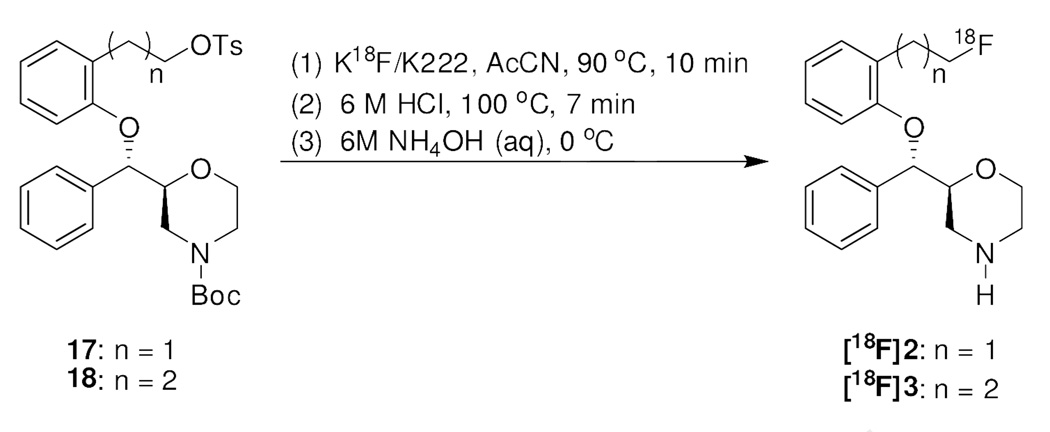 Scheme 5