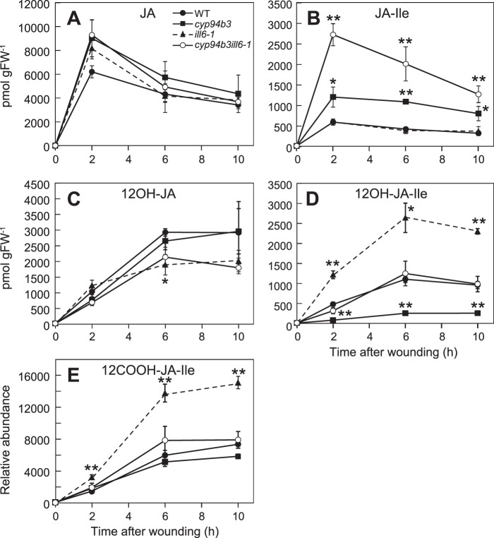 FIGURE 3.