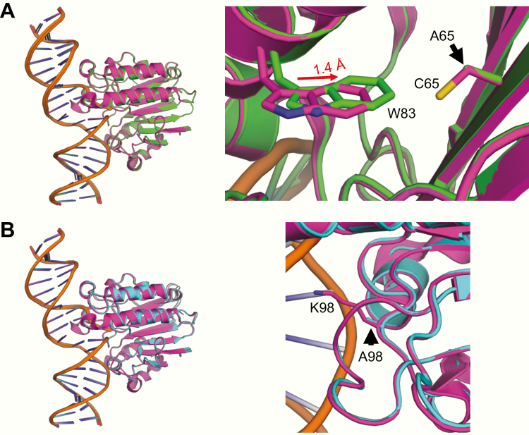 Figure 4.