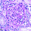 Figure 4a.