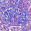 Figure 4b.