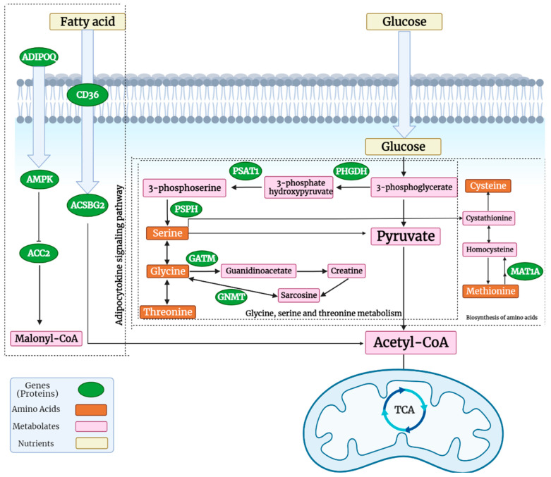 Figure 11