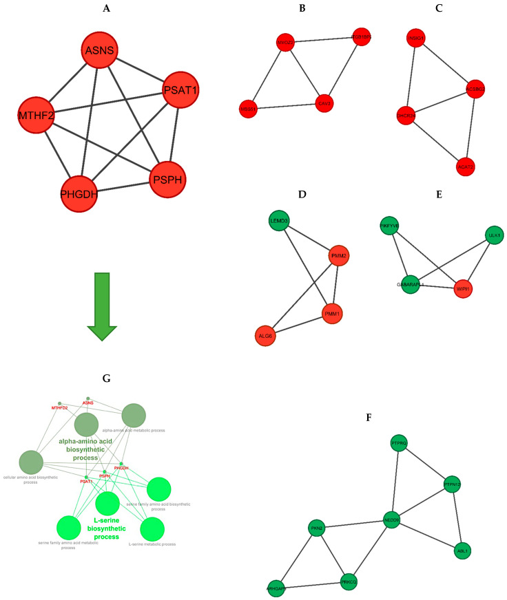 Figure 6