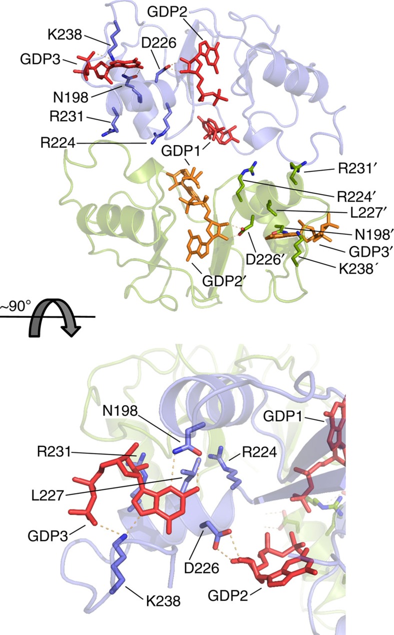 Figure 6