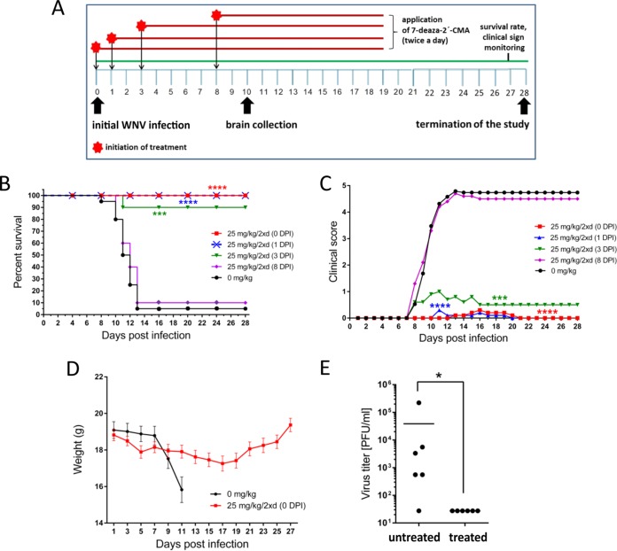 FIG 3