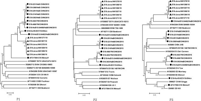Fig. 2