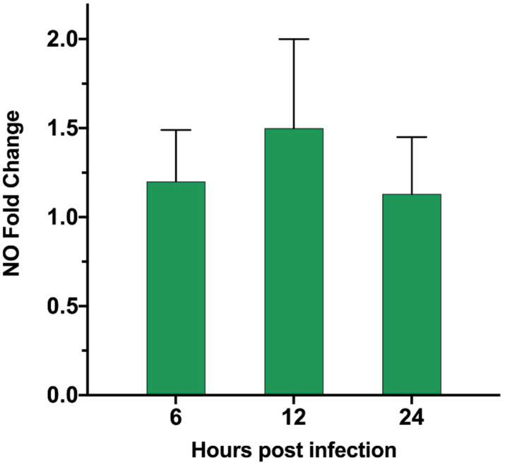 Figure 7