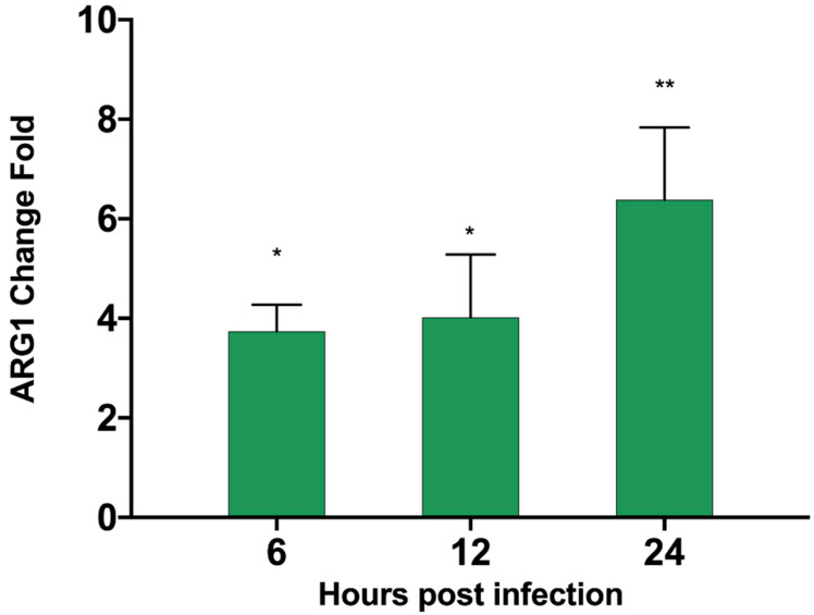 Figure 6