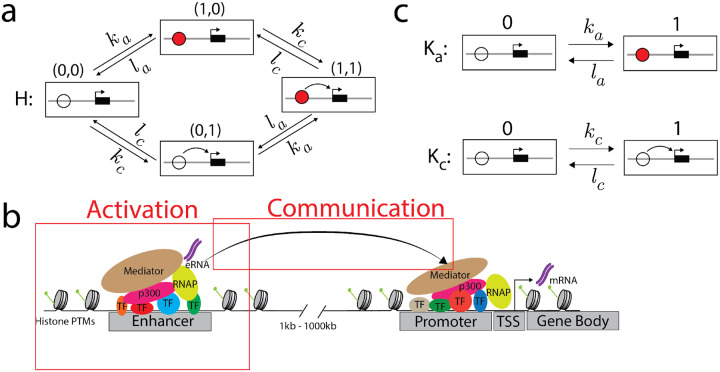 Figure 1: