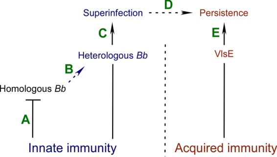 FIG 2