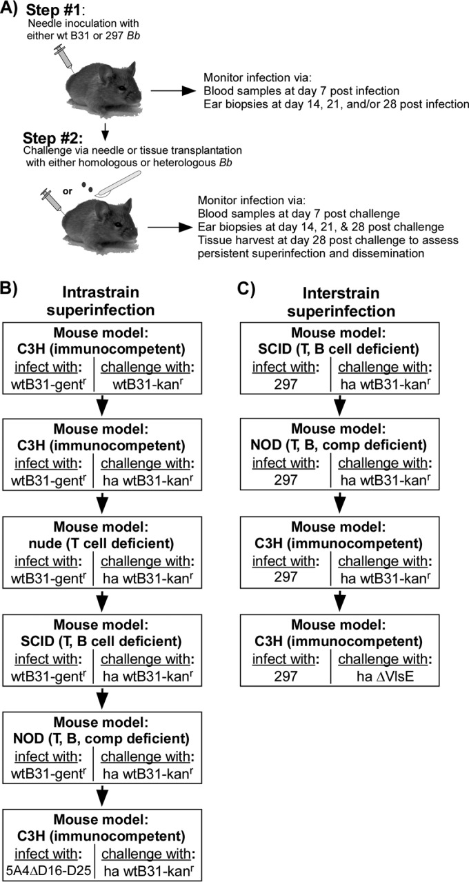 FIG 1