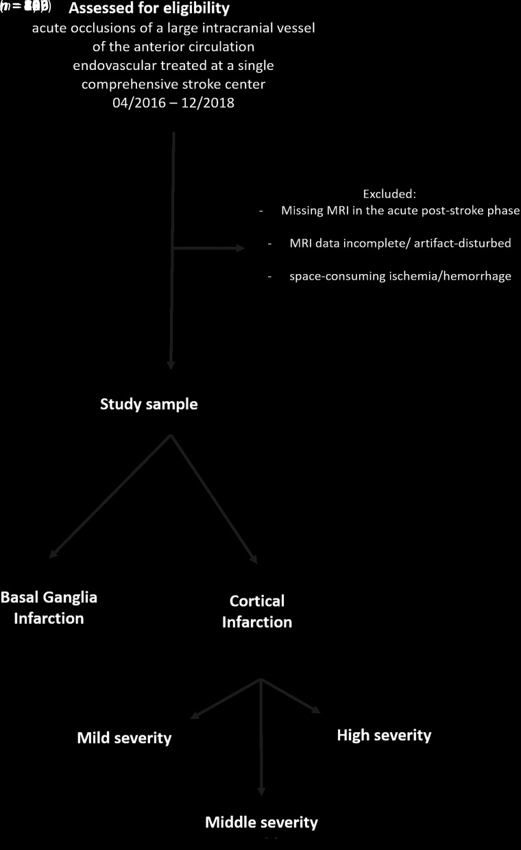 FIG 1.