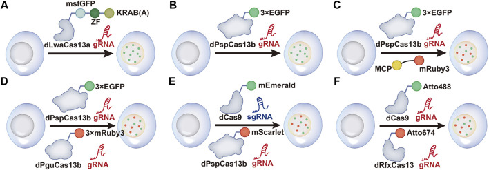 FIGURE 1