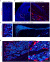 Extended Data Fig. 2