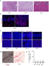 Extended Data Fig. 6