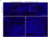 Extended Data Fig. 1