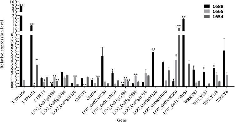 FIGURE 4