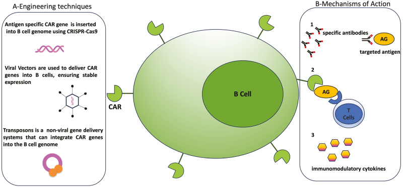 Figure 4: