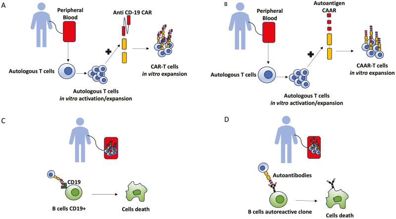 Figure 3: